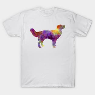 Drentsche Partridge Dog T-Shirt